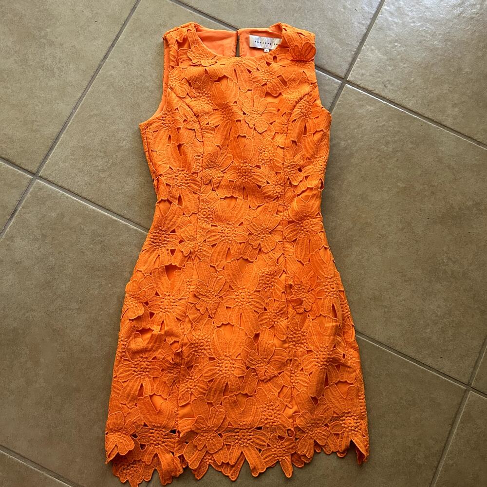 Endless Rose Anthropologie Cocktail Floral Embroidered 3D Lace Mini Dress Size S - Picture 11 of 14